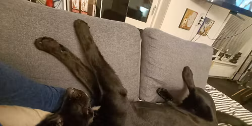 Daisys f\u00f8rste tur