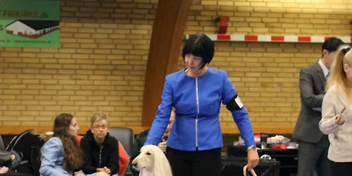 Myndeklubbens udstilling i Assentoft 2026
