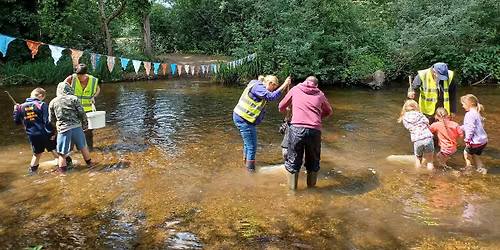 River Dipping at Cassiobury Park