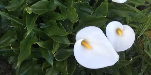 12 Week - Spiritual Development course 