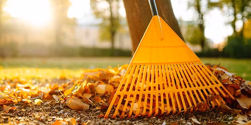 Leaf & Pumpkin Composting