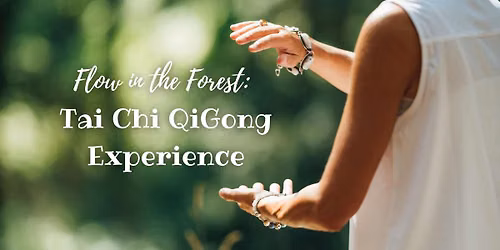 Tai Chi QiGong Experience | Flow in the Forest \ud83c\udf3f