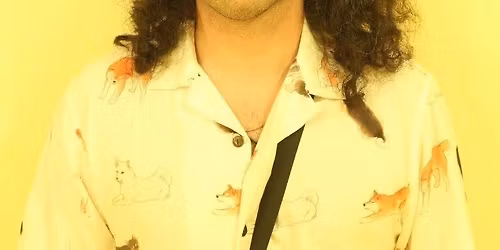 Flamingosis w\/ Manatee Commune