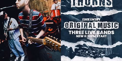 THORNS! The High Committee, Frog Pocket & Collectors