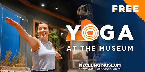 Yoga At The Museum