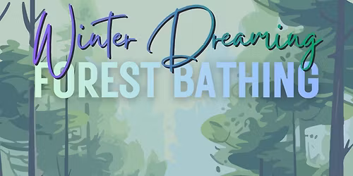 Winter Dreaming Forest Bathing Walk