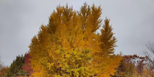 Nature Photography Workshop