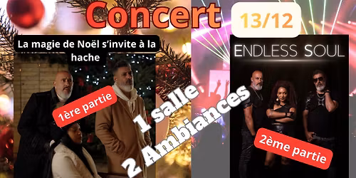 \ud83c\udf84CONCERT\ud83c\udf84ENDLESS SO\u00dbL \ud83e\udd29