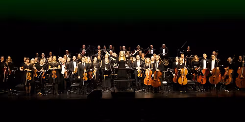 Vejle Symfoniorkester