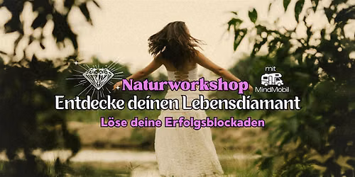 Entdecke deinen Lebensdiamant und l\u00f6se deine Erfolgsblockaden - Workshop
