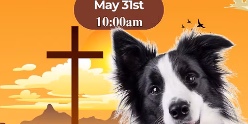 Blessing of the Animals
