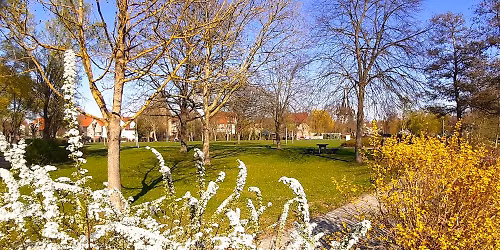 Flohmarkt im B\u00fcrgerpark Neustadt