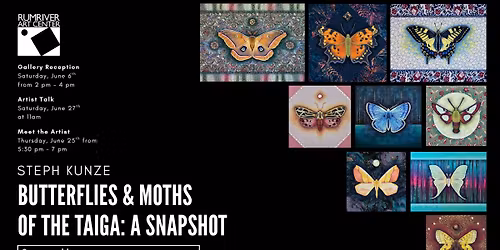 Artist Talk: Butterflies & Moths of the Taiga: A Snapshot, by artist Steph Kunze