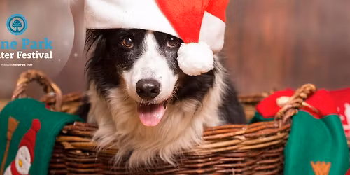 Santa Paws at Nene Park Winter Festival