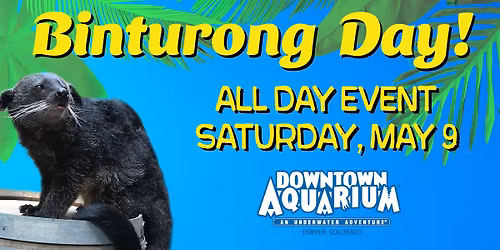 Binturong Day