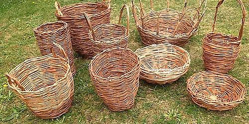 Willow Basketry Workshop