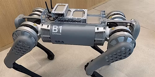 Winter Fun with the Robot Dog