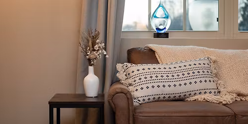 Raising Little Humans- Wired for Wonder: Understanding Your Preschooler's Brain