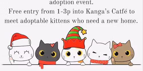 Forgotten Felines & Hundred Acres Books' Kitten JingleFest