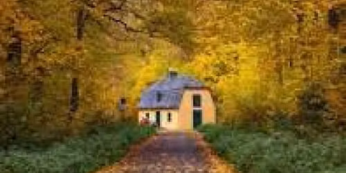 4. Kottenforst Halbmarathon