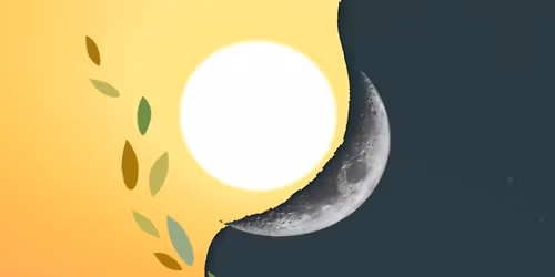 Danse intuitive du F\u00e9minin et du masculin - Music live