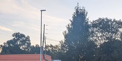 A&W cruise in