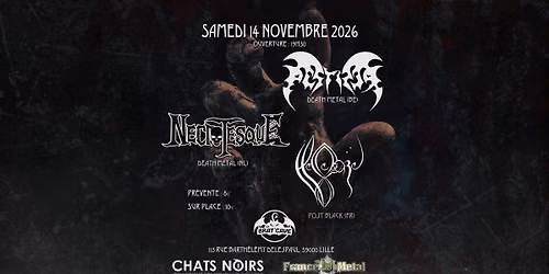 PESTIFER \/ Necrotesque \/ Hellebore