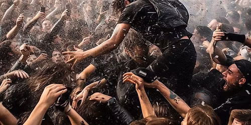 The Broken Hearts Tom Petty Tribute Band