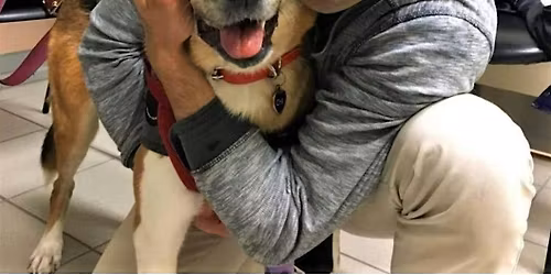 Animals Teach Divine Love: A Spiritual Discussion