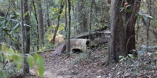 TMBA Beginner Ride: Fern to Tom Brown