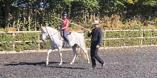 Arne Koets Uk Clinic: Historical & Classical Dressage (South Oxon)