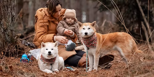 Simba's Santa Walk for Shiba Rescue
