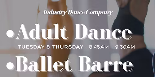Adult Ballet Barre Workout at Industry Dance Company
