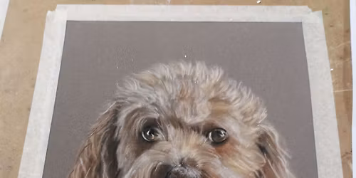 In Person Pet Portrait Workshop