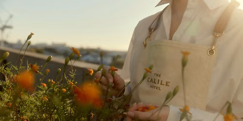 The Calile Rooftop Garden: Trail Edition