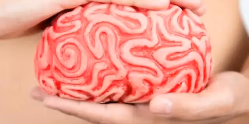 'Gut Intelligence' with Michael Kern in London or Online