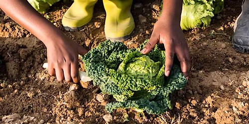 Dirt Detectives & Rot Squad  8\/16\/2026 from 10-11am @ Cheyenne-Arapaho Park