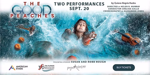 Parking The Florida Orchestra - Saint Petersburg