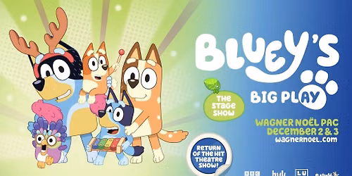 Bluey's Big Play