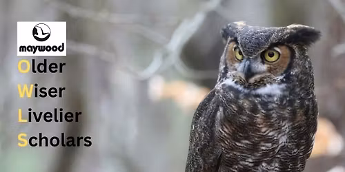 OWLS: Offsite Ice Age Trail Hike