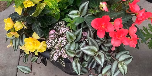 Spring Combo Planting Class