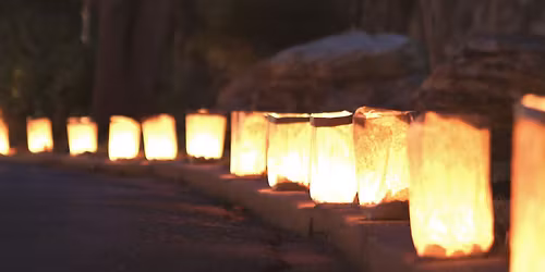 2025 - Morningside Luminaries