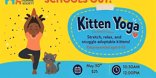 School's out! Kitten Yoga at the Austin Humane Society