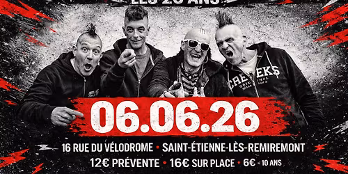 Les Ramoneurs de Menhirs - Les 20 ans -
