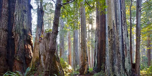 Breaking Free Outreach