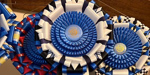 NORTH TEXAS PEMBROKE WELSH CORGI FANCIERS 3 Day - 6 Event FAST CAT EVENT