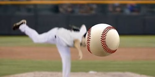 Lansing Lugnuts vs. Great Lakes Loons - Come Join Us