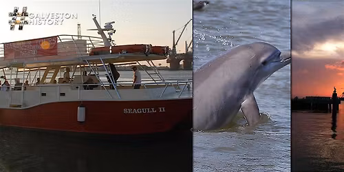 Galveston Historic Harbor Tour and Dolphin Watch