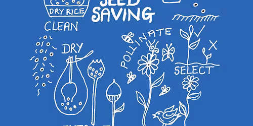 Seed Saving Worksop