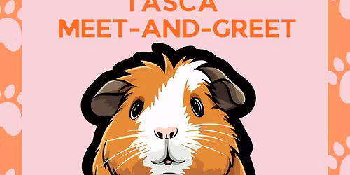 Beth Tasca Author Meet-and-Greet